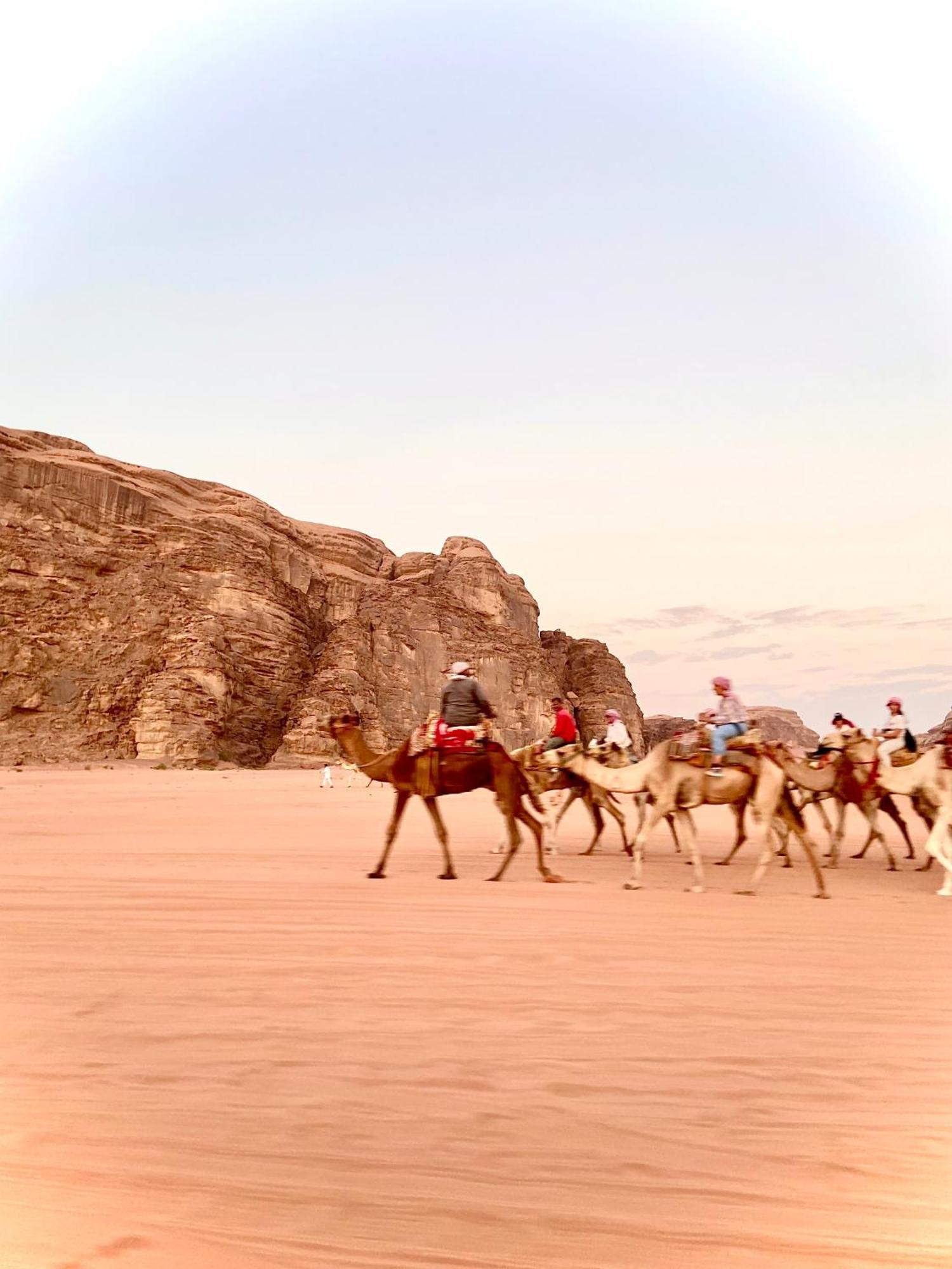 Wadi Rum Sky Camp Ngoại thất bức ảnh